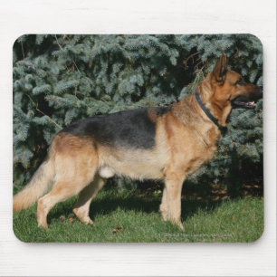 German Shepherd Show Stand Mouse Pad