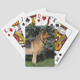 German Shepherd Show Stand Playing Cards