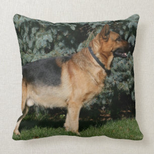 German Shepherd Show Stand Throw Pillow