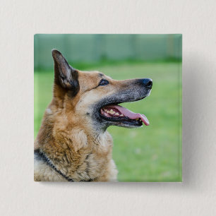 German Shepherd Side Portrait 2 Inch Square Button