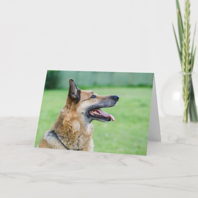 German Shepherd Side Portrait Card (Front)