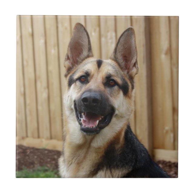 German Shepherd Sitting Tile (Front)