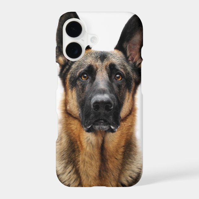 German Shepherd Sitting Up (Back)