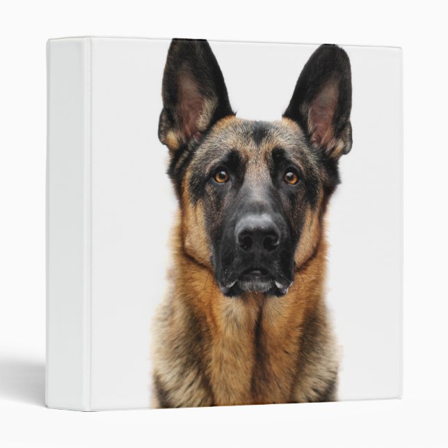 German Shepherd Sitting Up Binder (Front/Spine)