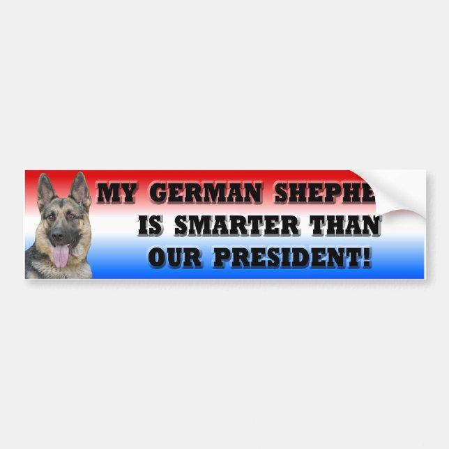 German Shepherd Smarter Than President Bumper Sticker (Front)