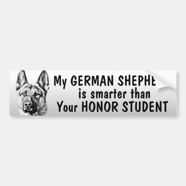 German Shepherd - smarter than student - funny Bumper Sticker (Front)