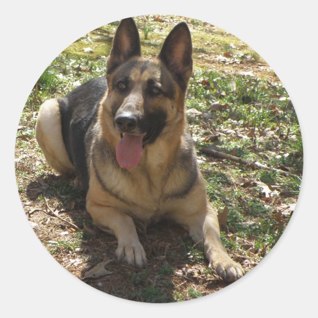German Shepherd Stickers (Front)