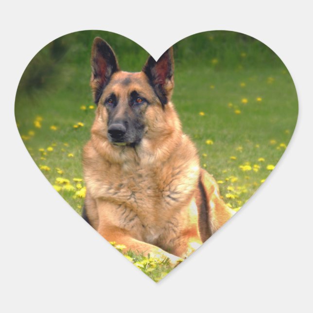 German Shepherd Stickers (Front)