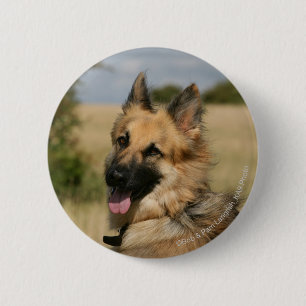 German Shepherd Sticking Tongue Out 2 Inch Round Button