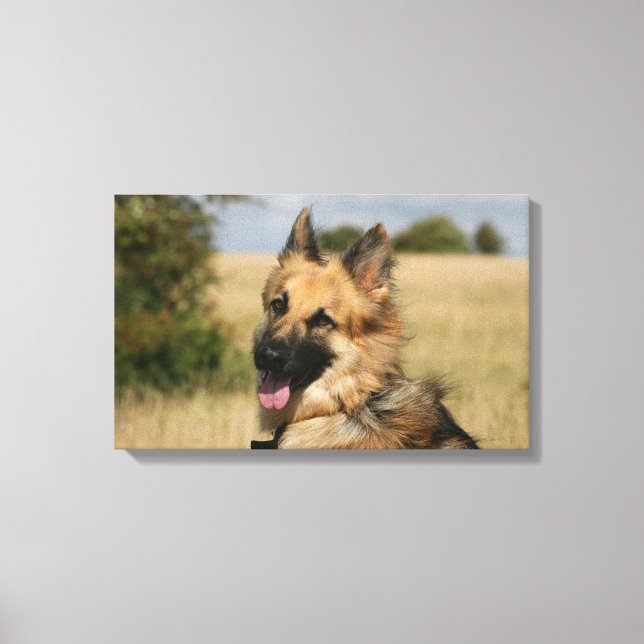 German Shepherd Sticking Tongue Out Canvas Print (Front)