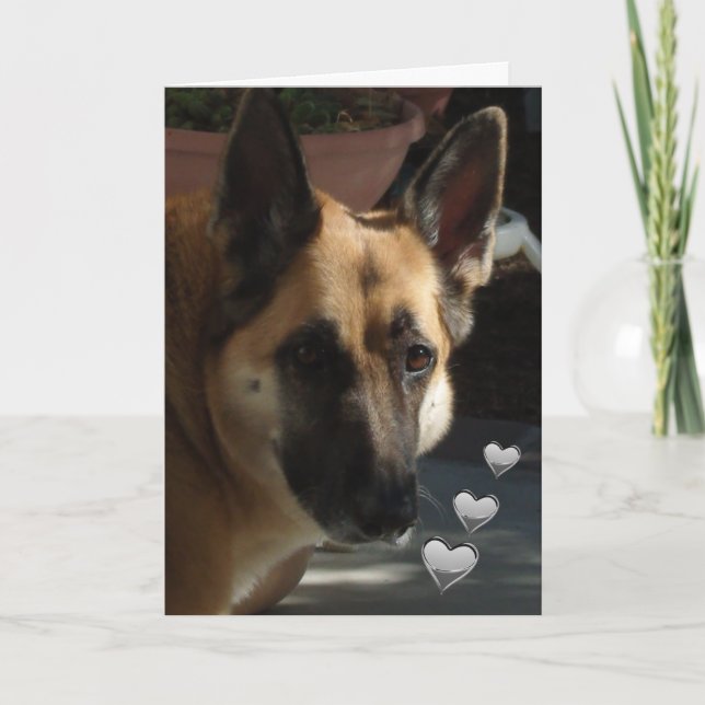 German Shepherd Still Turnin' My Head Valentine Holiday Card (Front)