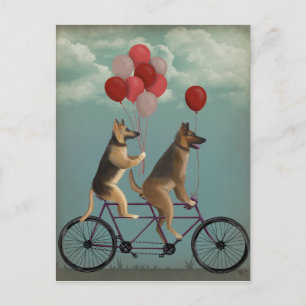 German Shepherd Tandem Postcard