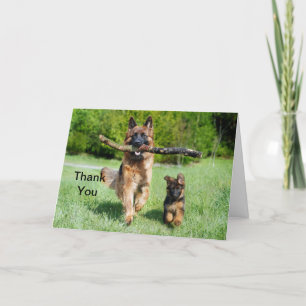 German Shepherd Thank You Card