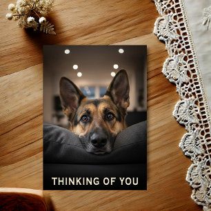 German Shepherd Thinking Of You Postcard