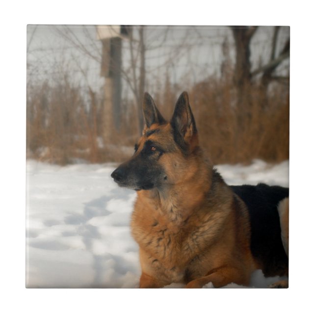 German Shepherd Tile (Front)