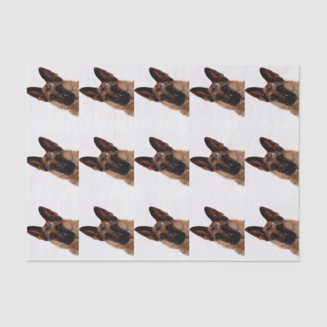German Shepherd Tissue Paper (Front)