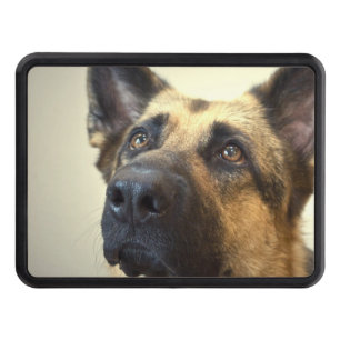 German Shepherd Trailer Hitch Cover