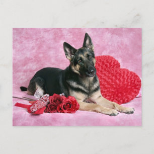 German Shepherd Valentine Holiday Postcard