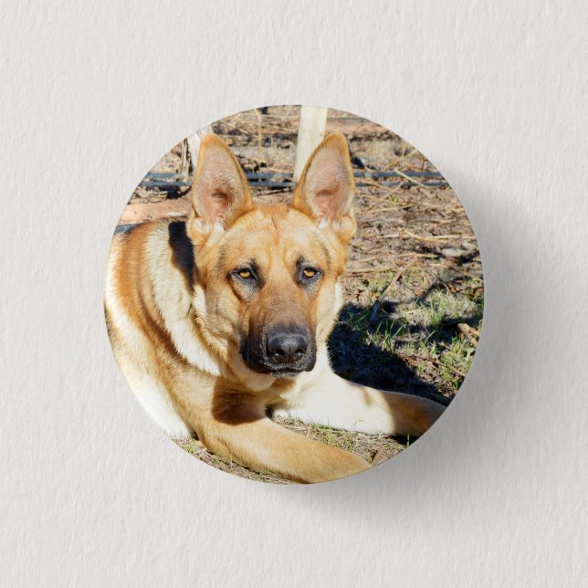 German Shepherd Wake Up,   Key Ring 1 Inch Round Button (Front)