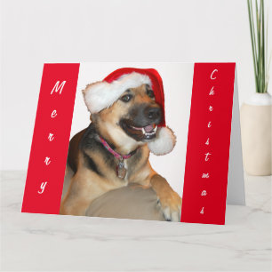 German Shepherd wearing a Santa Claus Hat Card