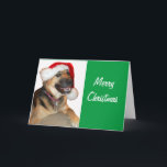 German Shepherd wearing a Santa Claus Hat Holiday Card<br><div class="desc">A Cute German Shepherd Wearing a Santa Claus Hat for Christmas</div>