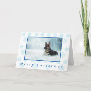 German shepherd winter christmas cards. card