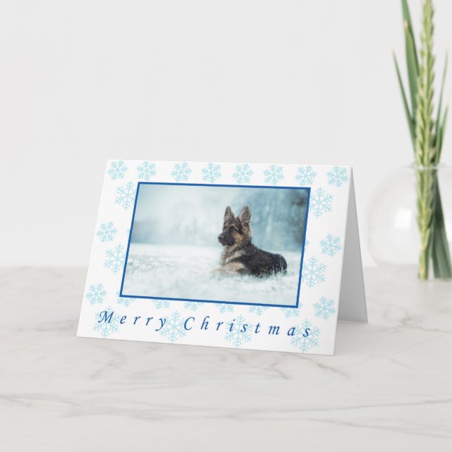 German shepherd winter christmas cards. card (Front)
