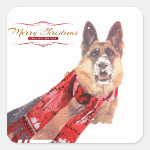 German Shepherd with Holiday Scarf Square Sticker