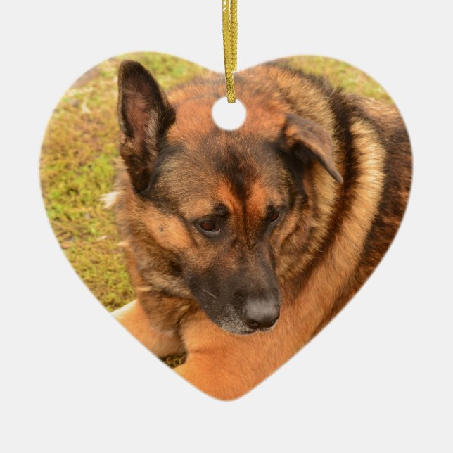 German Shepherd with One Floppy Ear Ceramic Ornament (Front)