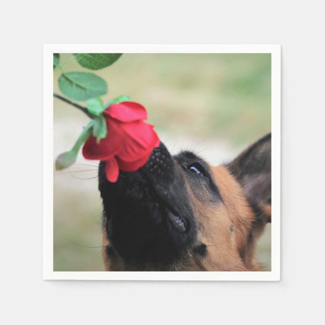 german shepherd with rose napkin (Front)
