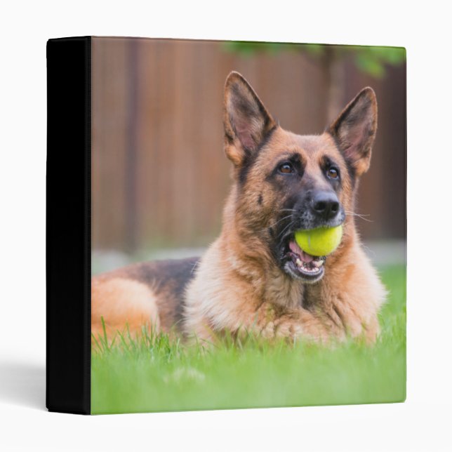 German Shepherd With Tennis Ball Binder (Front/Spine)