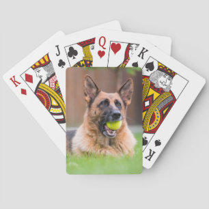 German Shepherd With Tennis Ball Playing Cards