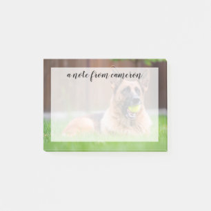 German Shepherd With Tennis Ball Post-it Notes