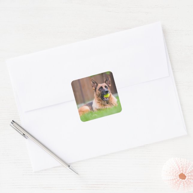 German Shepherd With Tennis Ball Square Sticker (Envelope)