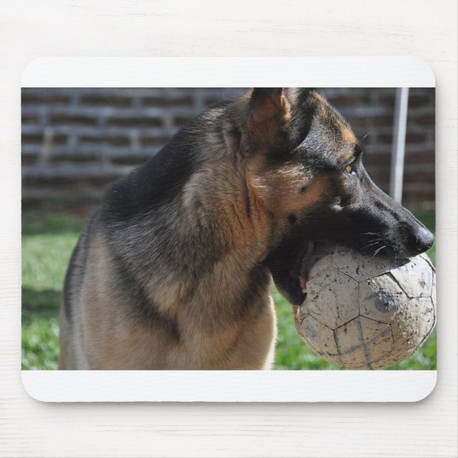 german shepherd with toy mouse pad (Front)