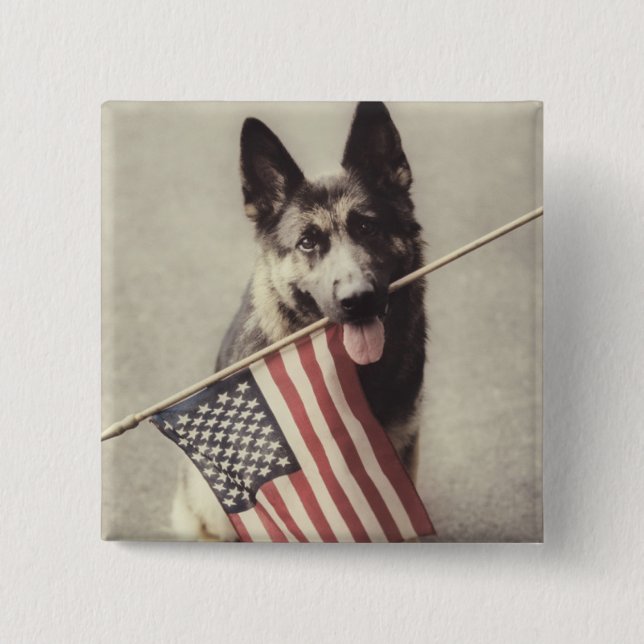 German Shepherd With US Flag 2 Inch Square Button (Front)