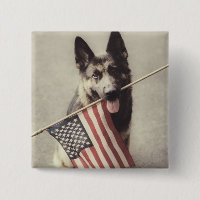 German Shepherd With US Flag