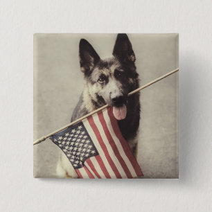 German Shepherd With US Flag 2 Inch Square Button