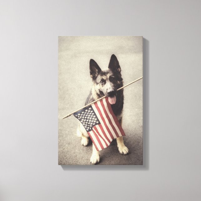 German Shepherd With US Flag Canvas Print (Front)