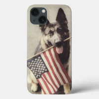 German Shepherd With US Flag
