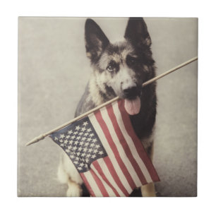 German Shepherd With US Flag Tile