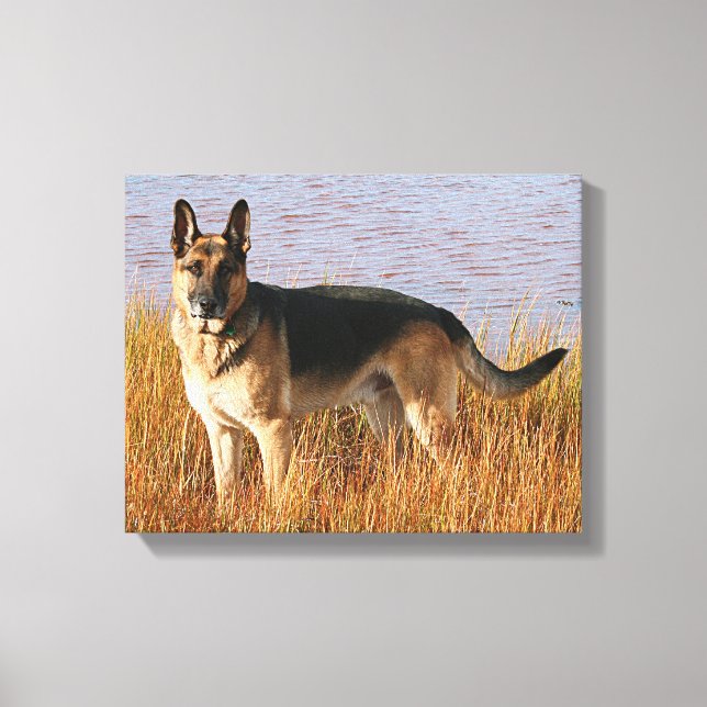 German Shepherd Wrapped Canvas Print (Front)