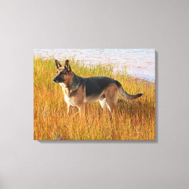 German Shepherd Wrapped Canvas Print (Front)