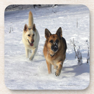 German Shepherds Running in the Snow Coaster
