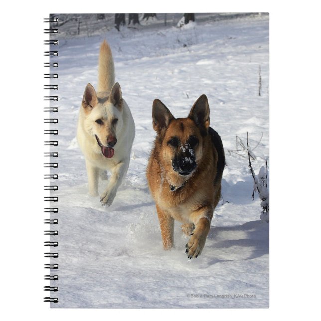 German Shepherds Running in the Snow Notebook (Front)