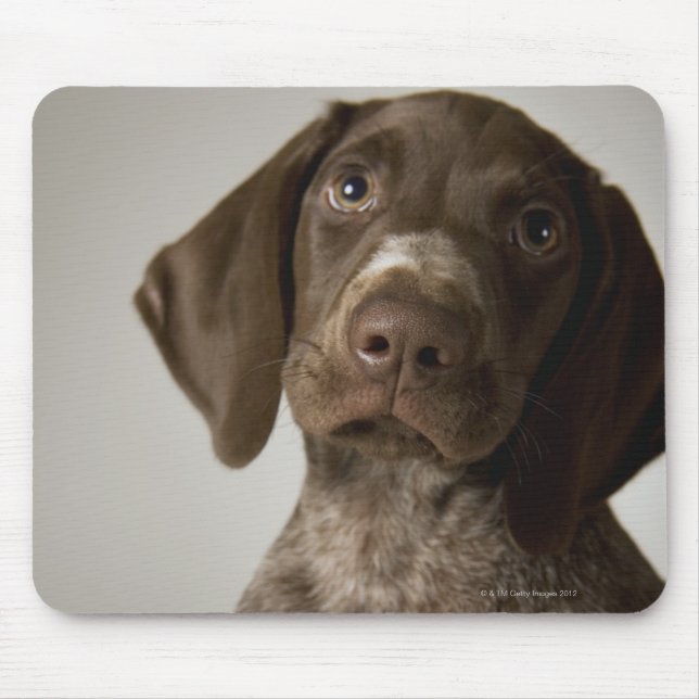 German Short-Haired Pointer puppy Mouse Pad (Front)