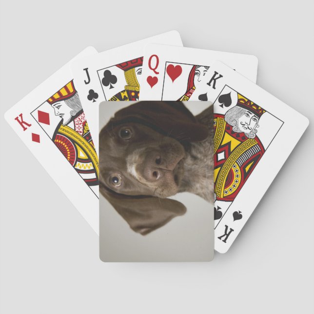 German Short-Haired Pointer puppy Playing Cards (Back)