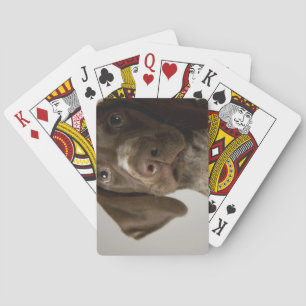 German Short-Haired Pointer puppy Playing Cards
