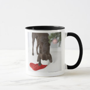 German short-haired pointer sticking snout in mug