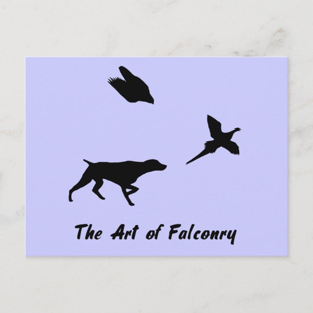 German Shorthair Pointer and Falconry Postcard (Front)